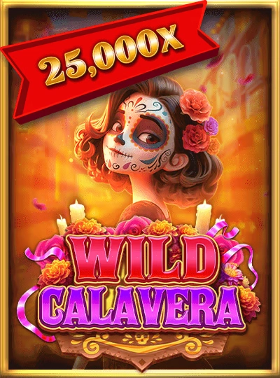 Live Baccarat table game cover from Evolution Gaming